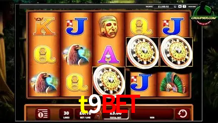 Experiência VIP t9bet